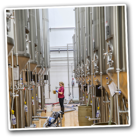 Brew Bus Brewing - Beer (598x555), Png Download