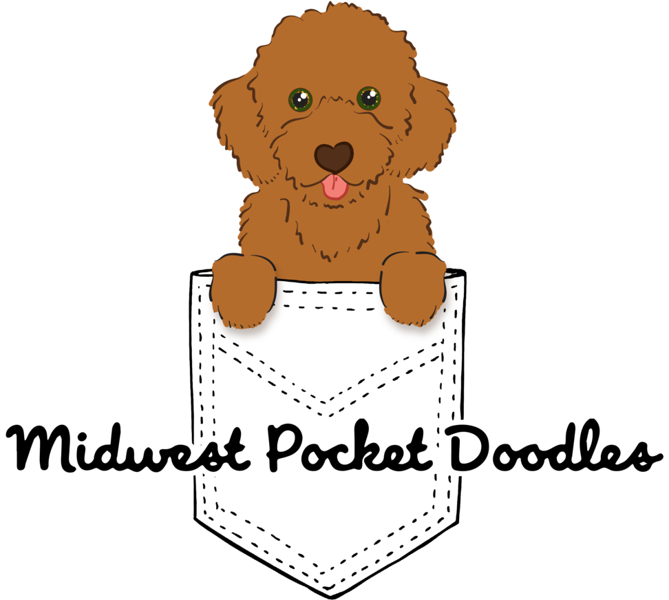 Midwest Pocket Doodles Format=1500w (1000x1000), Png Download