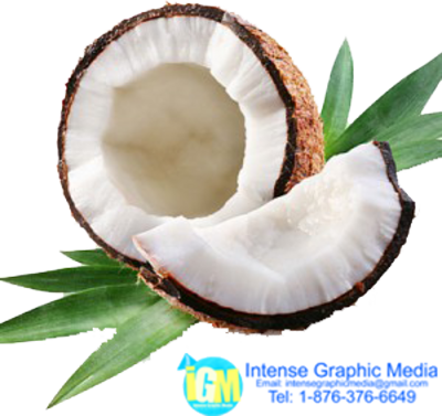 Coconut Vector Png For Kids - Coconut Oil: Teach Me Everything I Need (400x377), Png Download