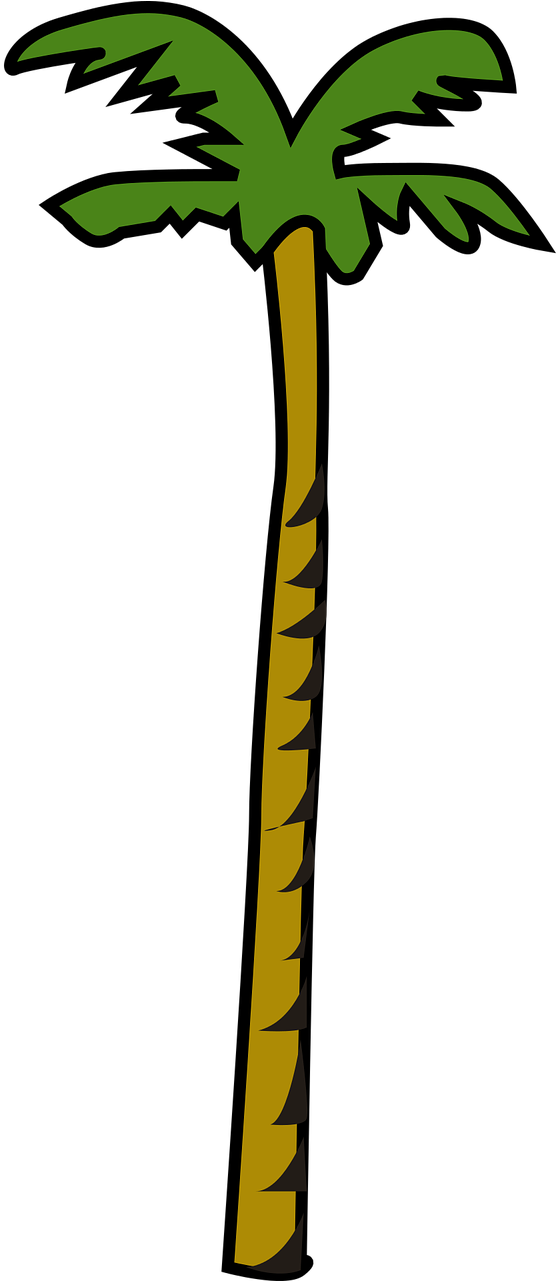 Vector Graphics,free Pictures, Free - Coconut Tree Clipart (640x1280), Png Download
