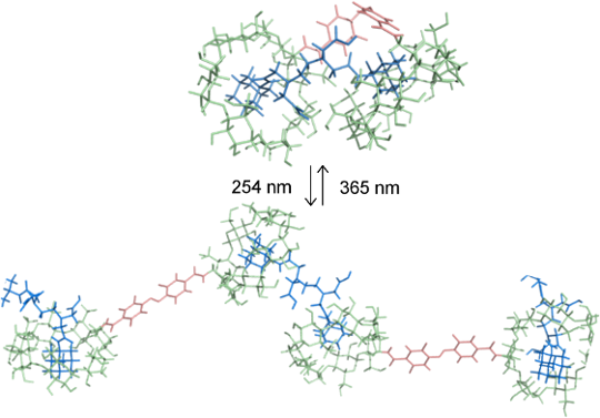 Proposed Structures Of Inclusion Complexes With The - Diagram (540x377), Png Download