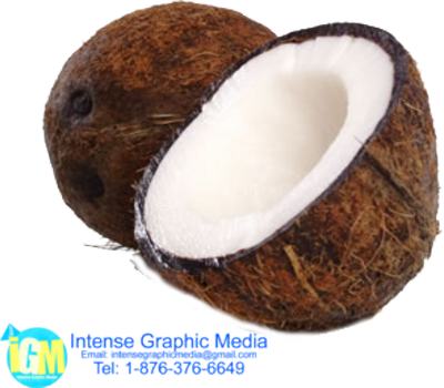 Broken Coconut Psd - Grounded Coconut Transparent Bg (400x350), Png Download