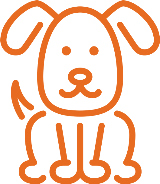 Pet Shop - Yellow Instagram Highlight Covers (1080x1080), Png Download