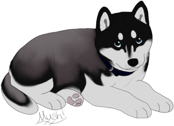 Character Design Shop - Mackenzie River Husky (410x308), Png Download