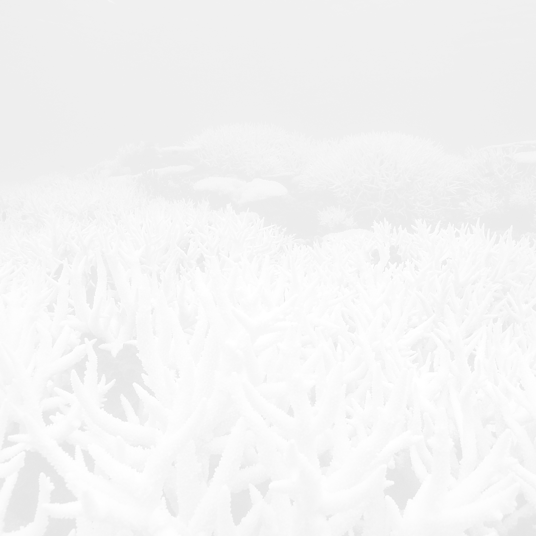 Besbswy - - Snow (1800x1800), Png Download