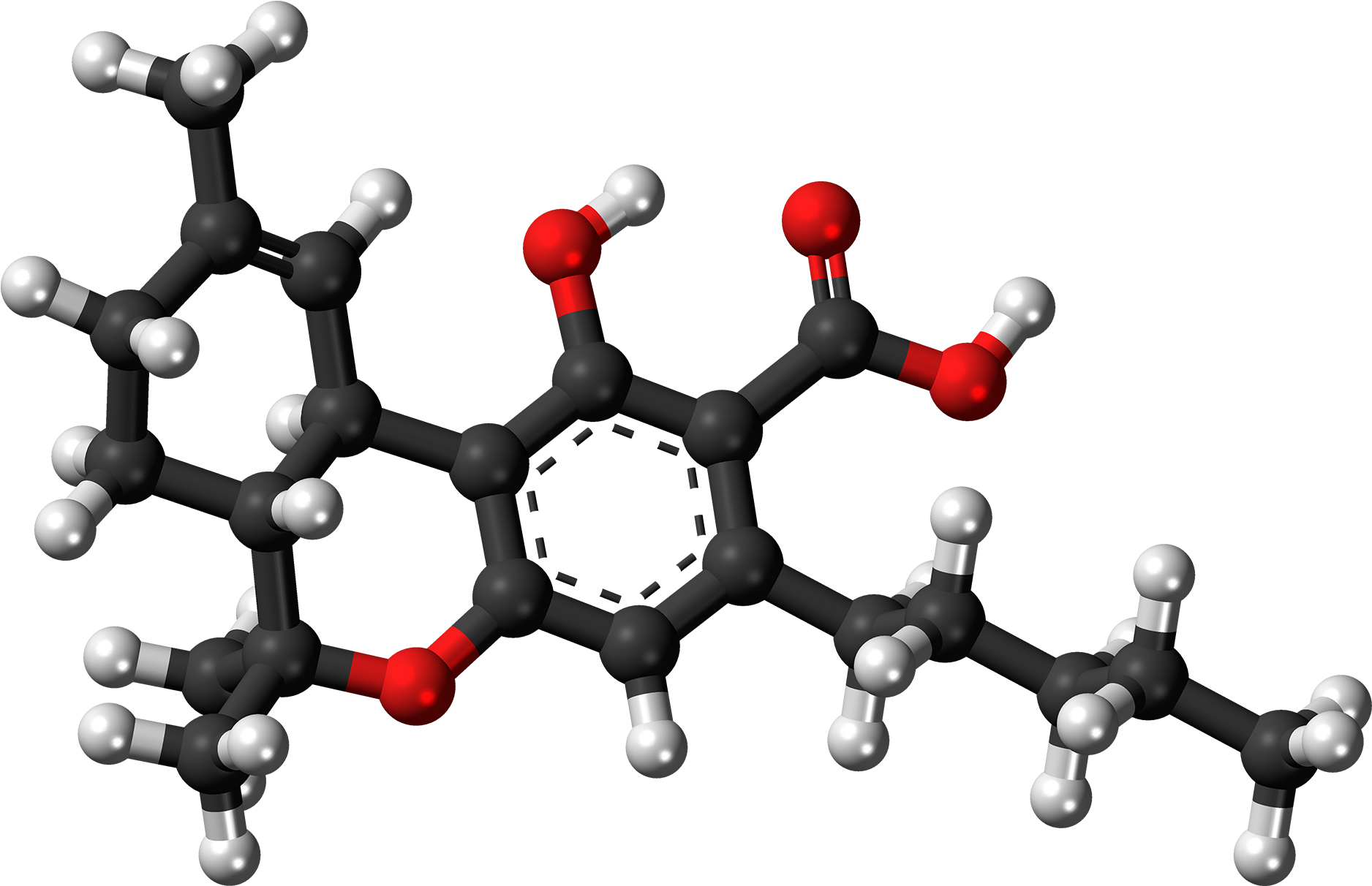 Tetrahydrocannabinolic Acid Molecule Ball - Thca Molecule (2000x1336), Png Download