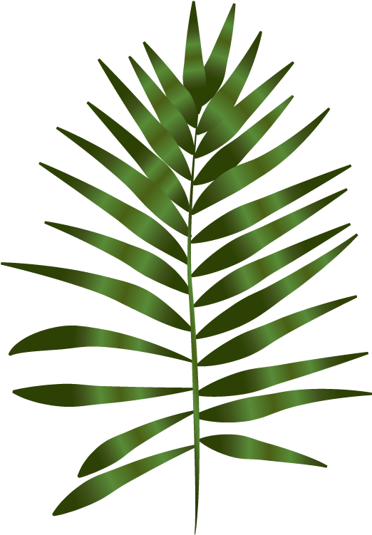 The Niki Whiting - Transparent Fern And Leaf Art (665x784), Png Download