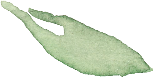 Single Leaf-2 - Leaf (521x262), Png Download