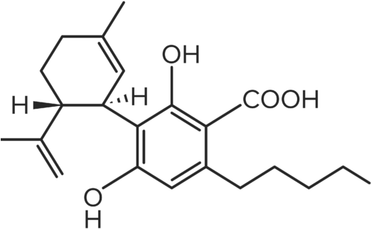 Molecules For Website Final 06 - Cannabidiolic Acid (600x350), Png Download