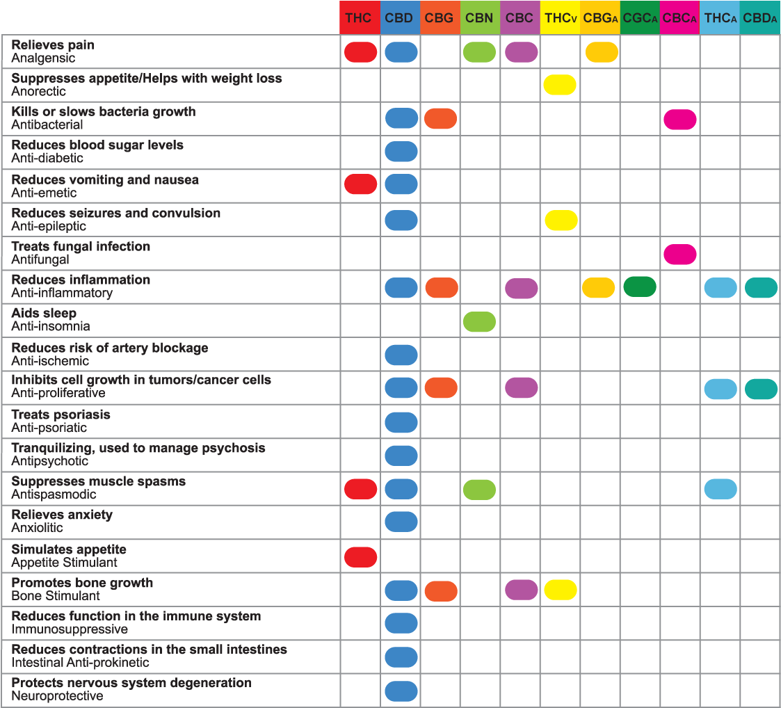 Medical Cannabis Common Ailments And Corresponding - Therapeutic Uses Of Cannabinoids (1154x1060), Png Download