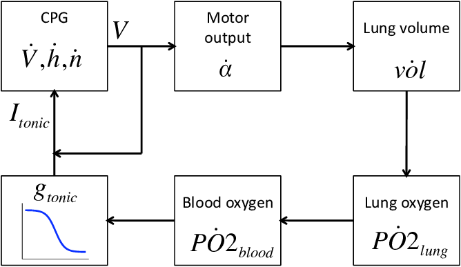 Schematic Of Closed-loop Control Circuit - Diagram (668x387), Png Download