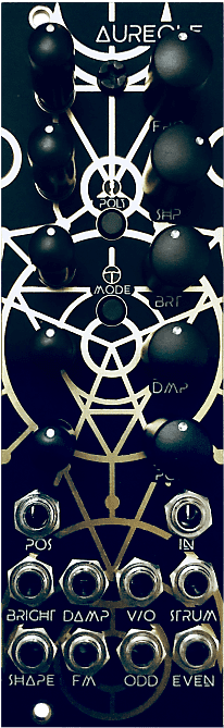 Noise Circuit Diy Aureole Eurorack Module 2018 Black - Eurorack (600x800), Png Download