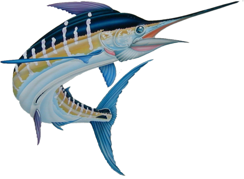 Marlin 1 R - Atlantic Blue Marlin (952x792), Png Download