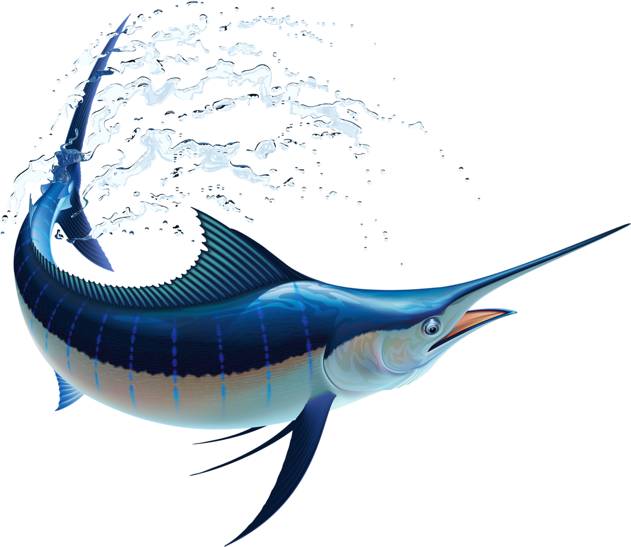 7 - Sail Fish (1280x1108), Png Download