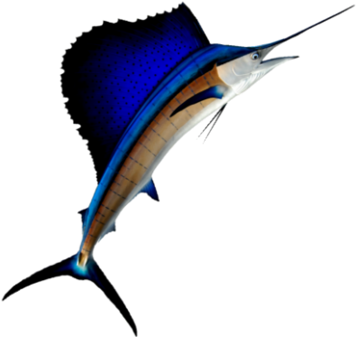 Sailfish - Pez Vela Vector Png (400x400), Png Download