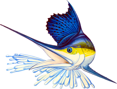 Sportfishing Art Png (500x379), Png Download