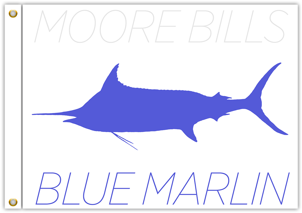 0 Comments - Atlantic Blue Marlin (1065x800), Png Download
