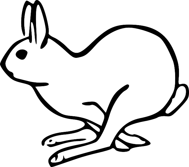 Free Image On Pixabay - Rabbit Clip Art (640x566), Png Download