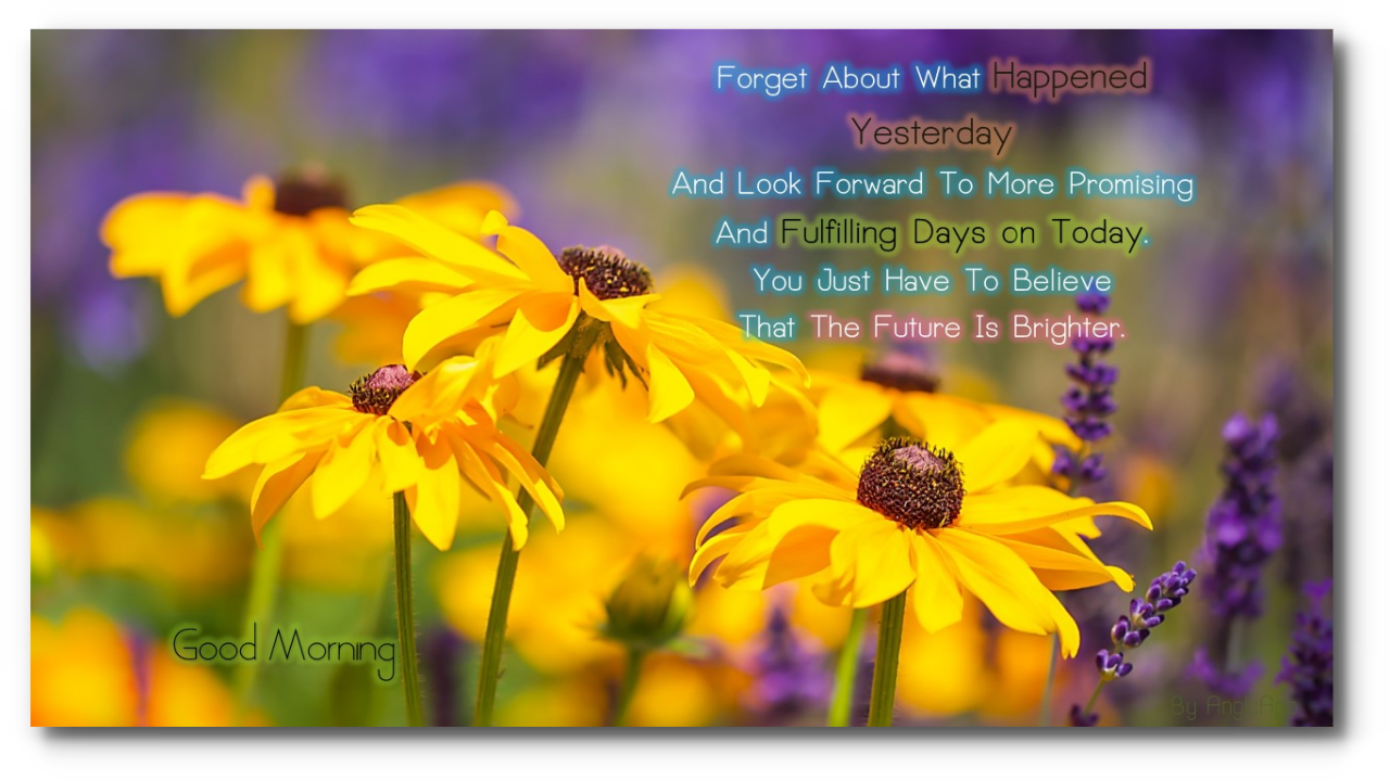 Good Morning Good Night Flower For Android - Quotes Images For Happy Father's Day With Nature (1280x720), Png Download