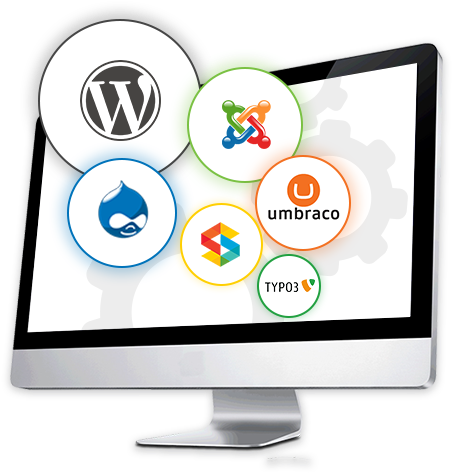 Custom Cms Development - Wordpress: The Complete Beginners Guide To Mastery (488x486), Png Download