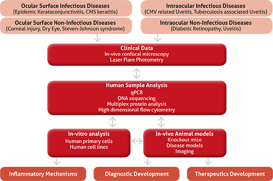 Oi Immunology1b - Ocular Inflammatory Disease (540x359), Png Download