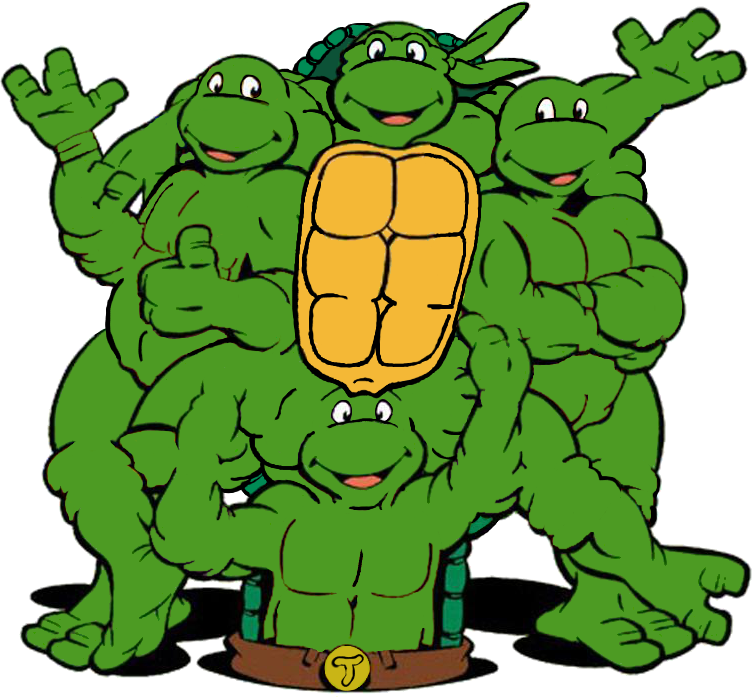 Ninja Turtle Michelangelo Face - Mutant Ninja Turtles (753x699), Png Download