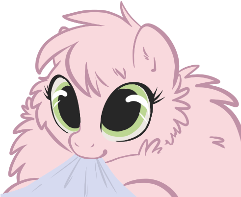 Pony Face Pink Nose Facial Expression Mammal Vertebrate - Cat (490x431), Png Download