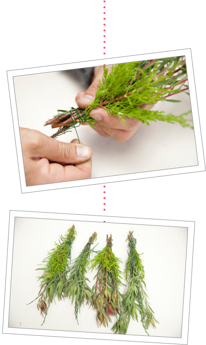 How To Make A Holiday Wreath Using Plants From Your - Georgia Pine (460x726), Png Download