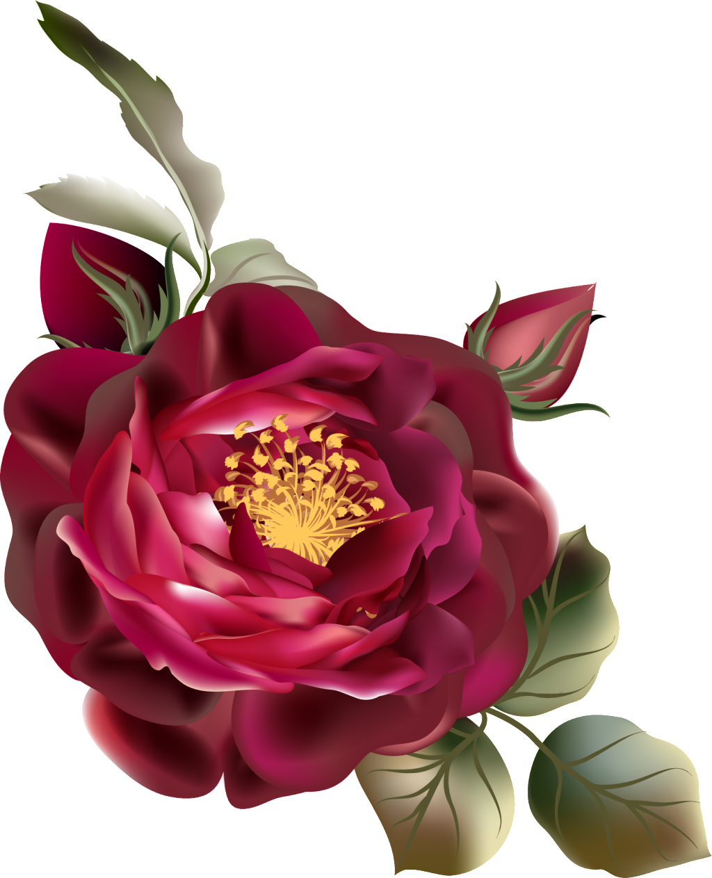 Png De Ornamentação De Cor De Rosa Vermelha - Vintage Flowers Png (1024x1263), Png Download