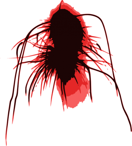 Sparks - Illustration (434x480), Png Download