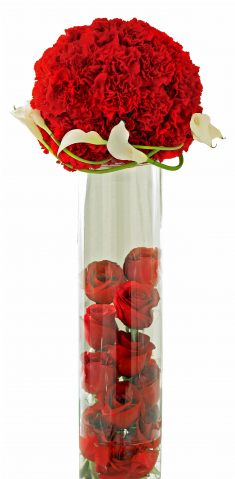 Rose Topiary Centerpiece - Roses Inside Cylinder Vase (480x480), Png Download
