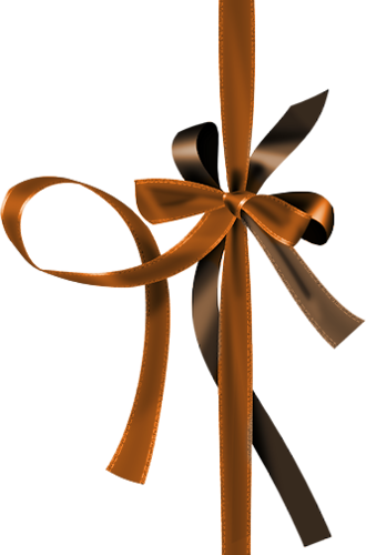 Ribbons, Ribbon Bows, Bias Tape - Ribbon (330x500), Png Download