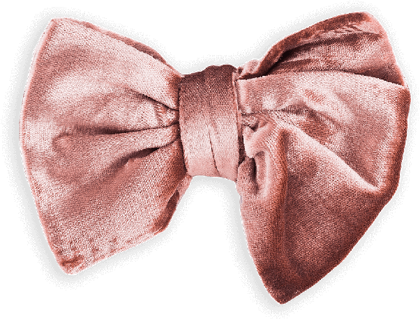 Vabien Bow Tie Brown Velvet - Velvet (800x500), Png Download