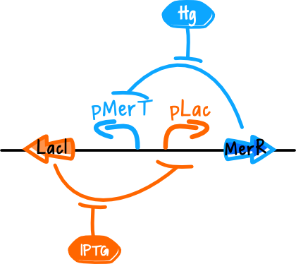 The Toggle Switch (420x374), Png Download