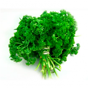 Perejil Crespo - Parsley (800x487), Png Download