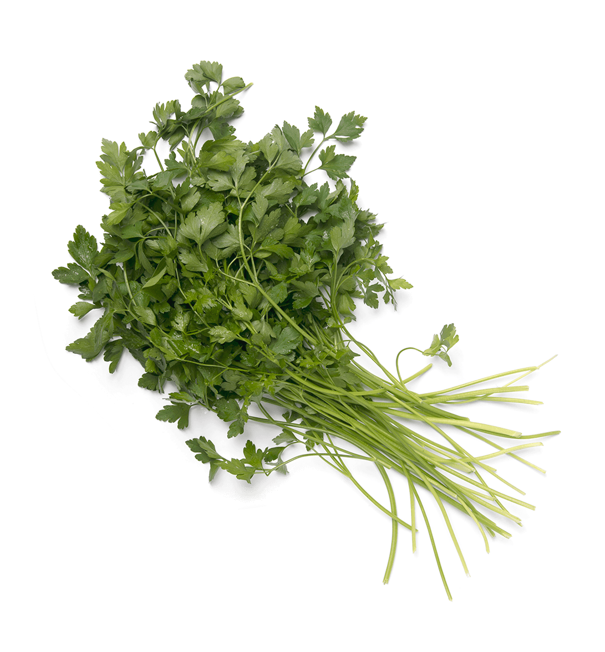Bouquet Garni (1500x1282), Png Download