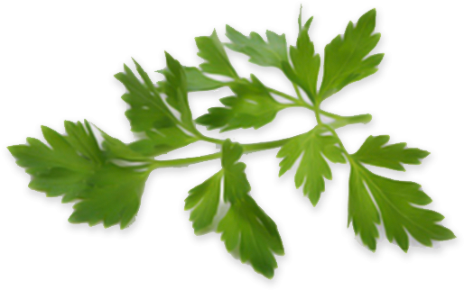 Je Teste Le Régime Sans Sel (600x600), Png Download