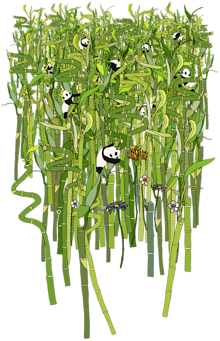 Click And Drag To Re-position The Image, If Desired - Giant Panda (452x700), Png Download