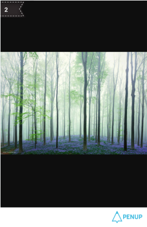 夢境 森林 (540x445), Png Download