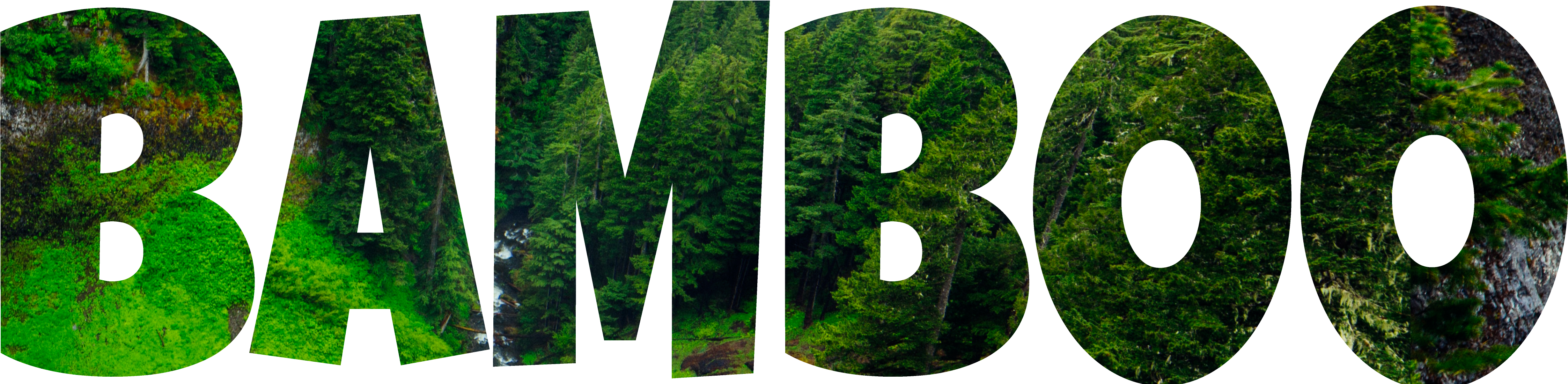 Bamboo Empire - Thuya (4500x1112), Png Download
