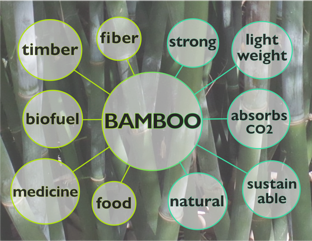 Download Bamboo Uses And Properties Kiss My Face Full Size PNG Image PNGkit