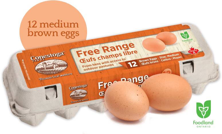 Ontario Local Free Range Eggs - Free Range Eggs Png (800x490), Png Download