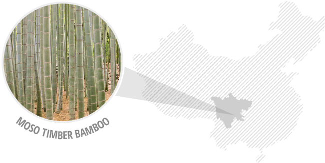 Moso Timber Bamboo - Pine (651x327), Png Download