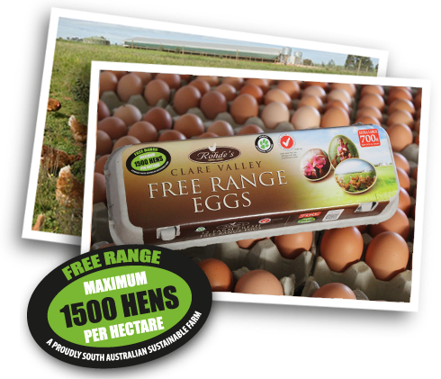 Eggcarton2 - 1500 Hens Per Hectare (490x421), Png Download