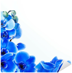 Sfondo Orchidea Blu (400x400), Png Download