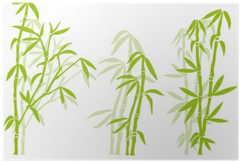 Bamboo Tree (400x400), Png Download