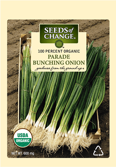 Organic Parade Bunching Onion Seeds - Seeds Of Change (573x573), Png Download