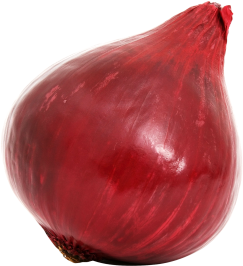 Download Red Onion Bulb Png Image - Red Onion Transparent (500x551), Png Download