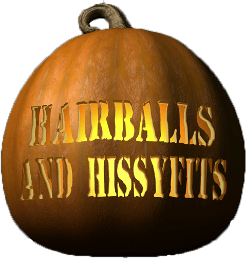 Hairballshissyfits Halloween Pumkin Carving - Cat (481x511), Png Download