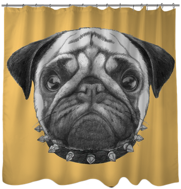 Hand Drawn Portrait Of Pug Dog With Collar - Art Print: Victoria Novak's Original Drawing Of Pug (400x400), Png Download